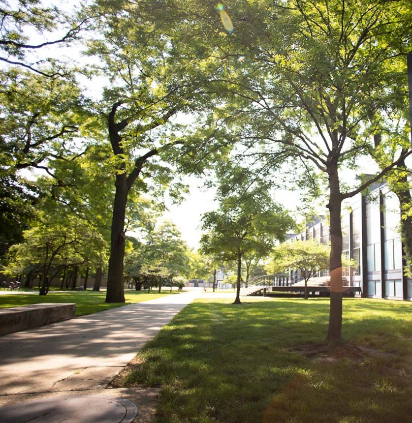 Summer Beauty-Mies Campus 6