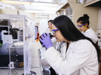 A student peers into a microscope in a biomedical lab