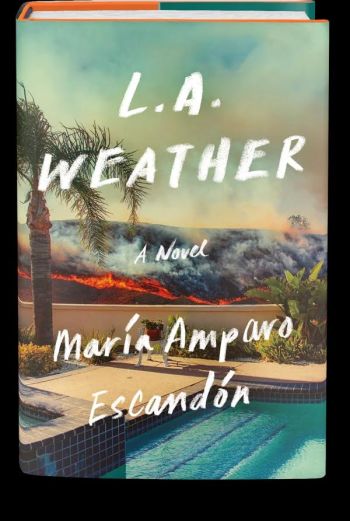 Esperanza’s Box of Saints