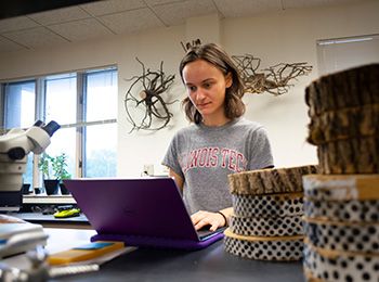 Illinois Tech student working on a laptop