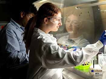 An Illinois Tech student works in the Center for Nutrition Research lab