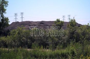 Cover of The Hills Film