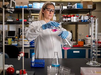 Find Your Next Opportunity