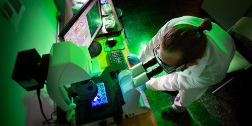 Illinois Tech | Lewis College | Chemistry Department